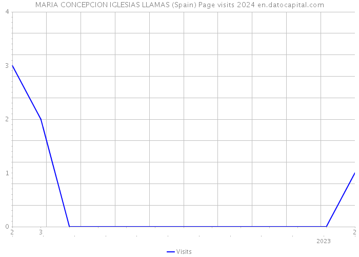 MARIA CONCEPCION IGLESIAS LLAMAS (Spain) Page visits 2024 