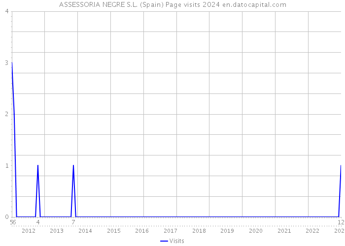 ASSESSORIA NEGRE S.L. (Spain) Page visits 2024 