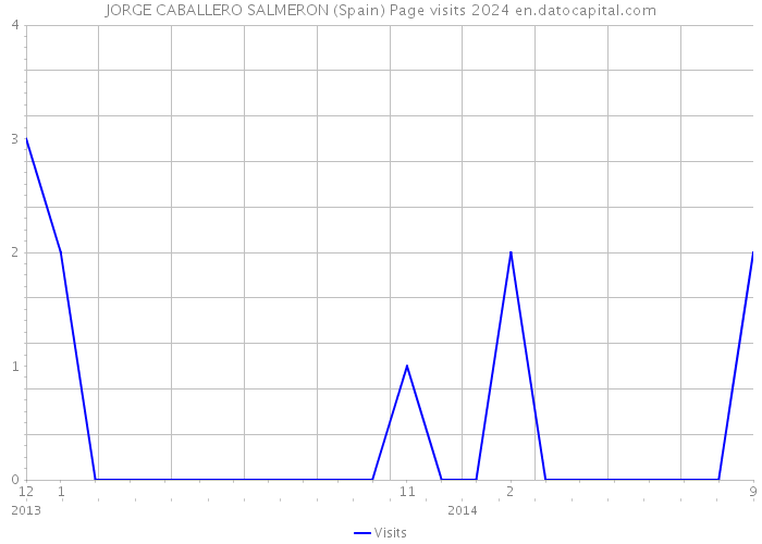 JORGE CABALLERO SALMERON (Spain) Page visits 2024 