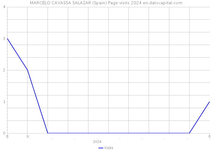 MARCELO CAVASSA SALAZAR (Spain) Page visits 2024 