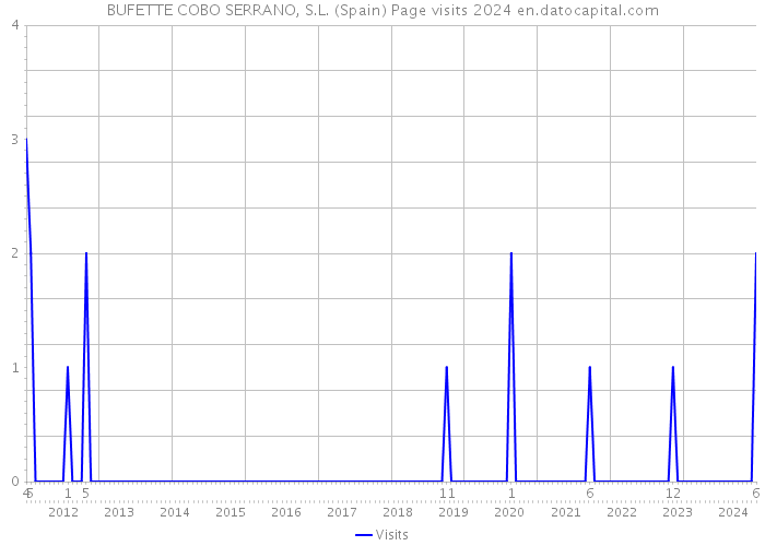 BUFETTE COBO SERRANO, S.L. (Spain) Page visits 2024 