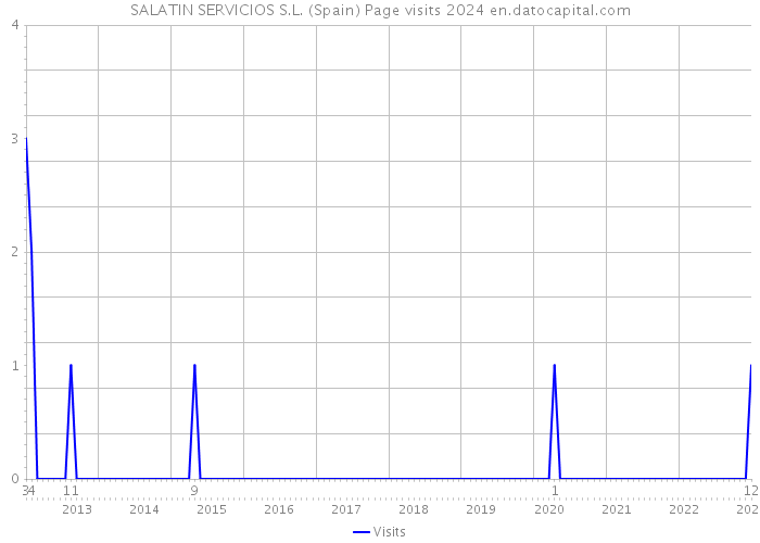 SALATIN SERVICIOS S.L. (Spain) Page visits 2024 