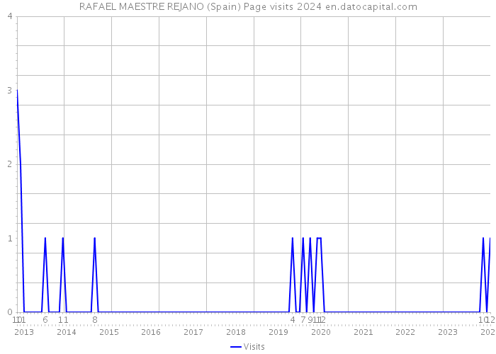 RAFAEL MAESTRE REJANO (Spain) Page visits 2024 