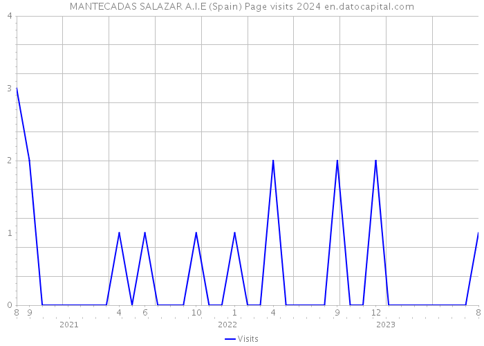 MANTECADAS SALAZAR A.I.E (Spain) Page visits 2024 