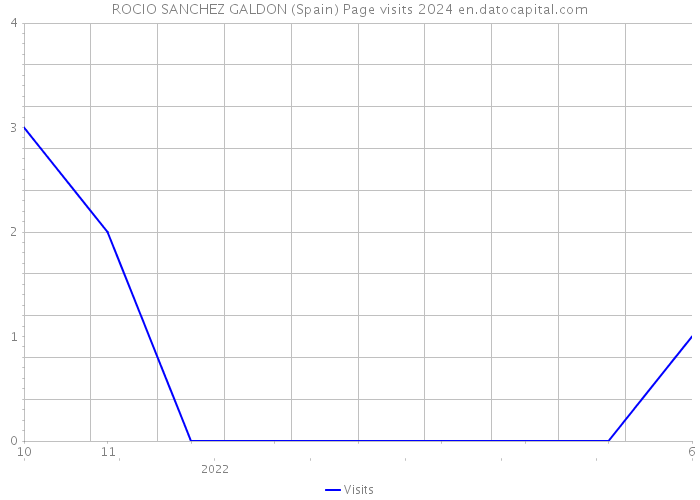 ROCIO SANCHEZ GALDON (Spain) Page visits 2024 