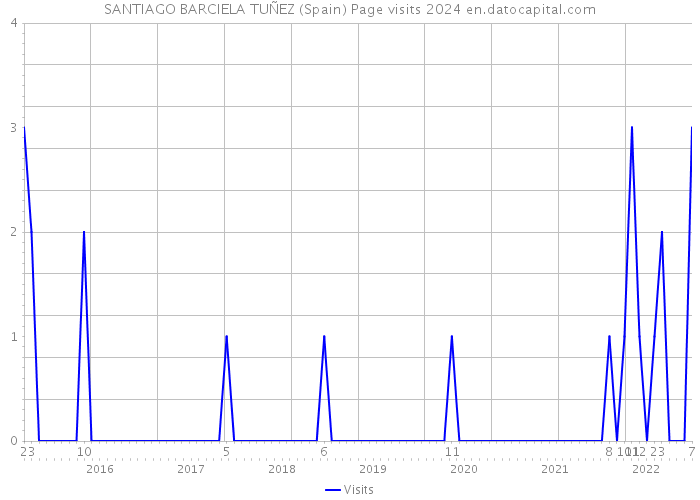 SANTIAGO BARCIELA TUÑEZ (Spain) Page visits 2024 