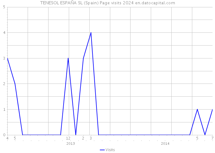 TENESOL ESPAÑA SL (Spain) Page visits 2024 