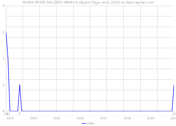 MARIA REYES SALCEDO ABARCA (Spain) Page visits 2024 