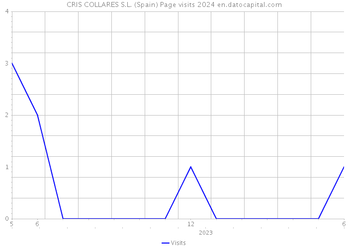 CRIS COLLARES S.L. (Spain) Page visits 2024 