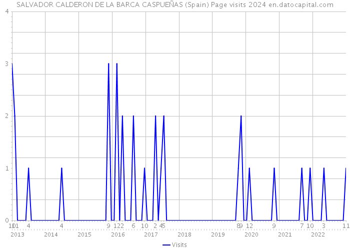 SALVADOR CALDERON DE LA BARCA CASPUEÑAS (Spain) Page visits 2024 
