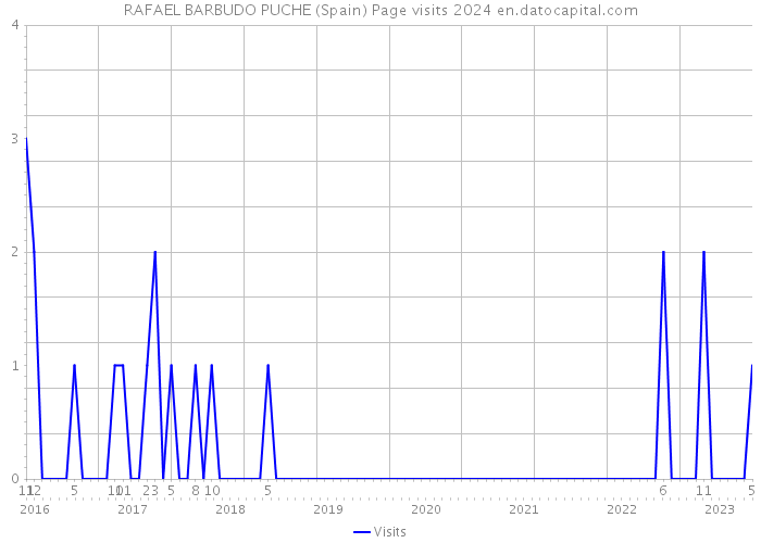 RAFAEL BARBUDO PUCHE (Spain) Page visits 2024 