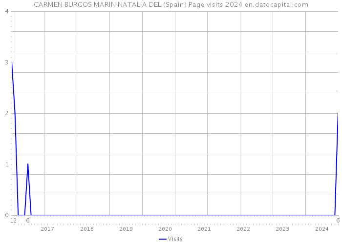 CARMEN BURGOS MARIN NATALIA DEL (Spain) Page visits 2024 