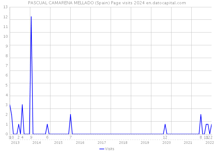 PASCUAL CAMARENA MELLADO (Spain) Page visits 2024 