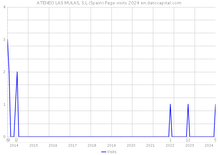 ATENEO LAS MULAS, S.L (Spain) Page visits 2024 