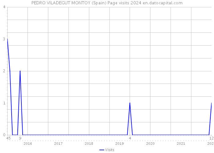 PEDRO VILADEGUT MONTOY (Spain) Page visits 2024 