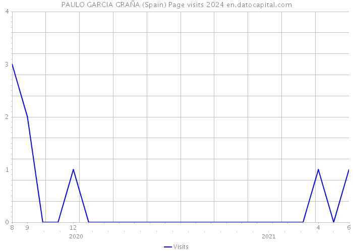 PAULO GARCIA GRAÑA (Spain) Page visits 2024 