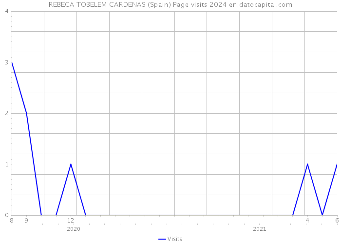 REBECA TOBELEM CARDENAS (Spain) Page visits 2024 