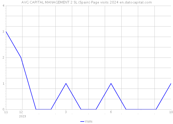 AVG CAPITAL MANAGEMENT 2 SL (Spain) Page visits 2024 