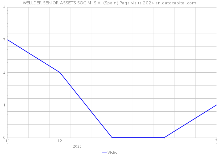 WELLDER SENIOR ASSETS SOCIMI S.A. (Spain) Page visits 2024 