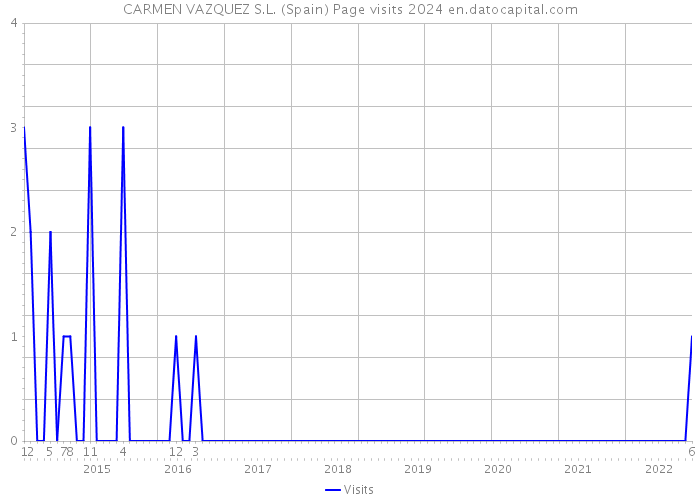 CARMEN VAZQUEZ S.L. (Spain) Page visits 2024 