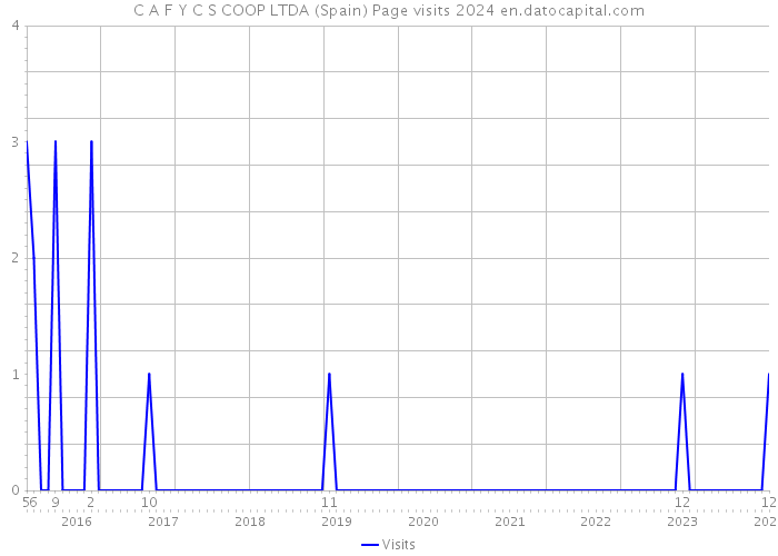 C A F Y C S COOP LTDA (Spain) Page visits 2024 