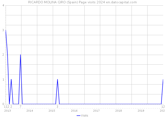 RICARDO MOLINA GIRO (Spain) Page visits 2024 