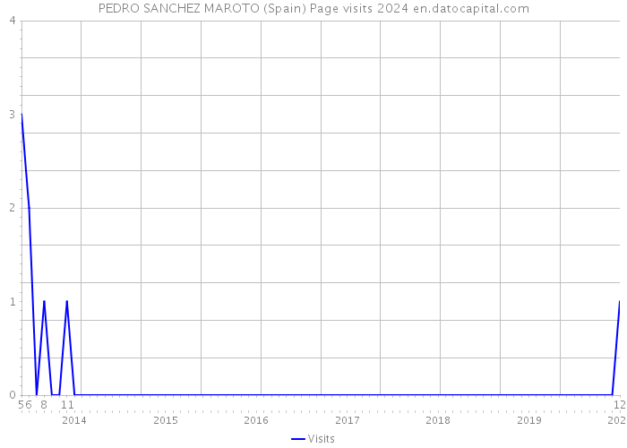 PEDRO SANCHEZ MAROTO (Spain) Page visits 2024 
