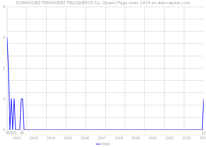 DOMINGUEZ FERNANDEZ PELUQUEROS S.L. (Spain) Page visits 2024 