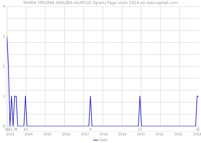 MARIA VIRGINIA AMILIBIA ALARCIA (Spain) Page visits 2024 