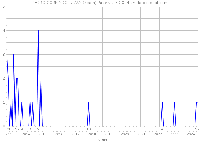 PEDRO GORRINDO LUZAN (Spain) Page visits 2024 