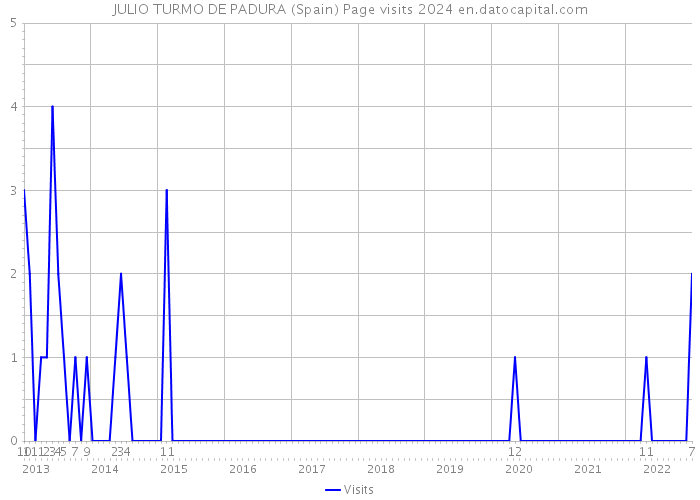 JULIO TURMO DE PADURA (Spain) Page visits 2024 