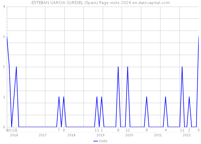 ESTEBAN GARCIA GURDIEL (Spain) Page visits 2024 