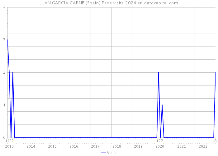 JUAN GARCIA CARNE (Spain) Page visits 2024 