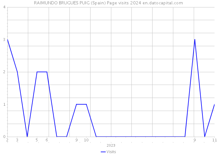 RAIMUNDO BRUGUES PUIG (Spain) Page visits 2024 
