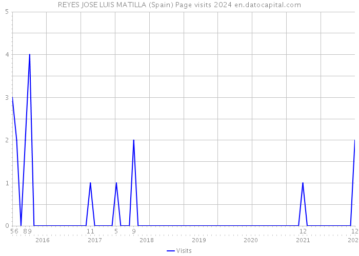 REYES JOSE LUIS MATILLA (Spain) Page visits 2024 