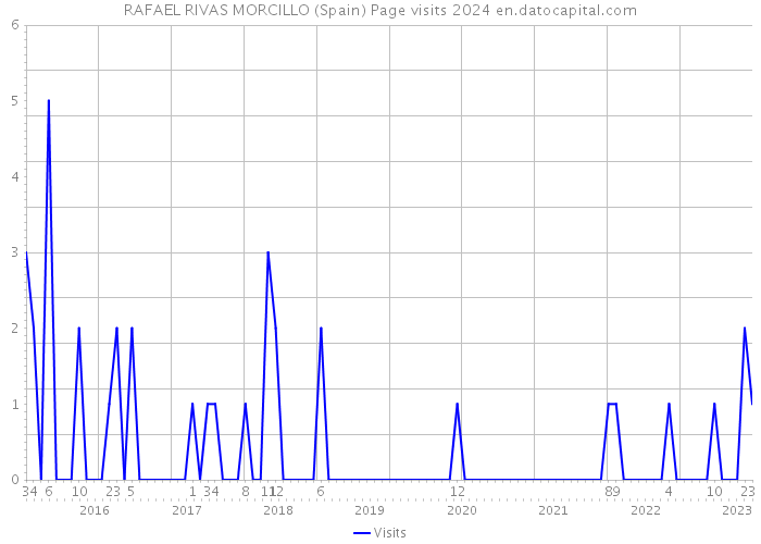 RAFAEL RIVAS MORCILLO (Spain) Page visits 2024 