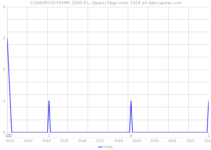 CONSORCIO FAHIRI 2000 S.L. (Spain) Page visits 2024 