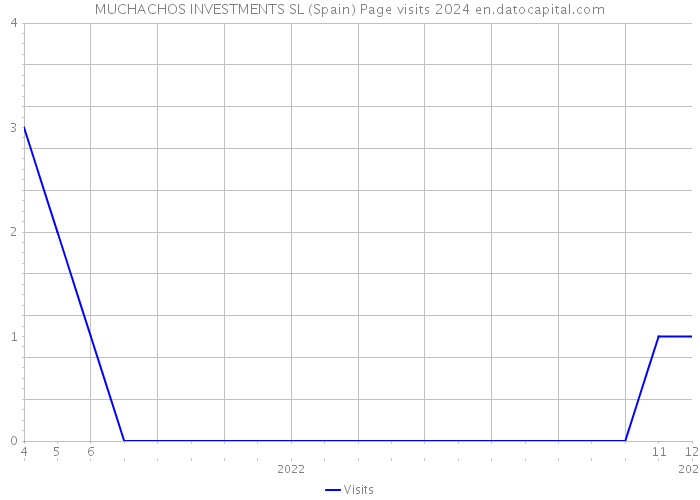 MUCHACHOS INVESTMENTS SL (Spain) Page visits 2024 