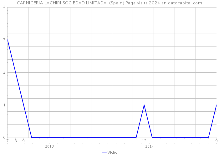 CARNICERIA LACHIRI SOCIEDAD LIMITADA. (Spain) Page visits 2024 