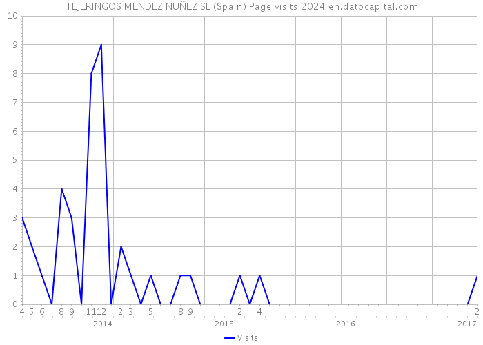 TEJERINGOS MENDEZ NUÑEZ SL (Spain) Page visits 2024 