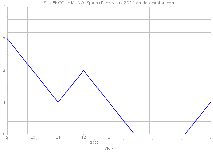 LUIS LUENGO LAMUÑO (Spain) Page visits 2024 