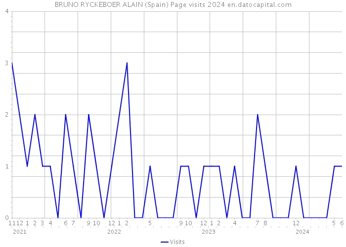 BRUNO RYCKEBOER ALAIN (Spain) Page visits 2024 