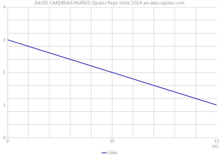 DAVID CARDENAS MUÑOZ (Spain) Page visits 2024 