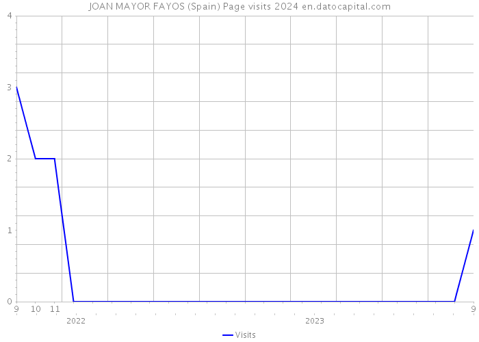 JOAN MAYOR FAYOS (Spain) Page visits 2024 