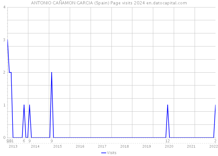 ANTONIO CAÑAMON GARCIA (Spain) Page visits 2024 