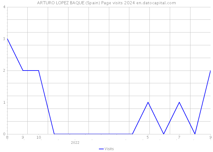 ARTURO LOPEZ BAQUE (Spain) Page visits 2024 