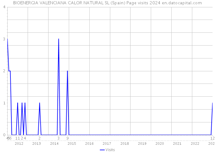 BIOENERGIA VALENCIANA CALOR NATURAL SL (Spain) Page visits 2024 