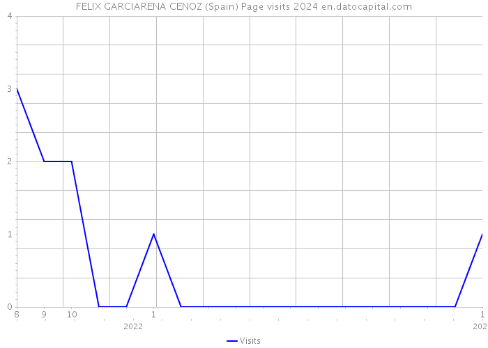 FELIX GARCIARENA CENOZ (Spain) Page visits 2024 