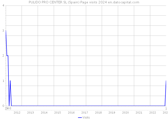 PULIDO PRO CENTER SL (Spain) Page visits 2024 