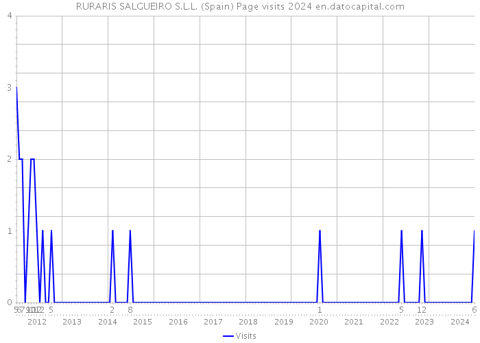 RURARIS SALGUEIRO S.L.L. (Spain) Page visits 2024 